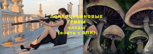 спайс Осинники