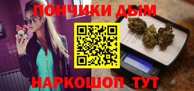 сатива Гай