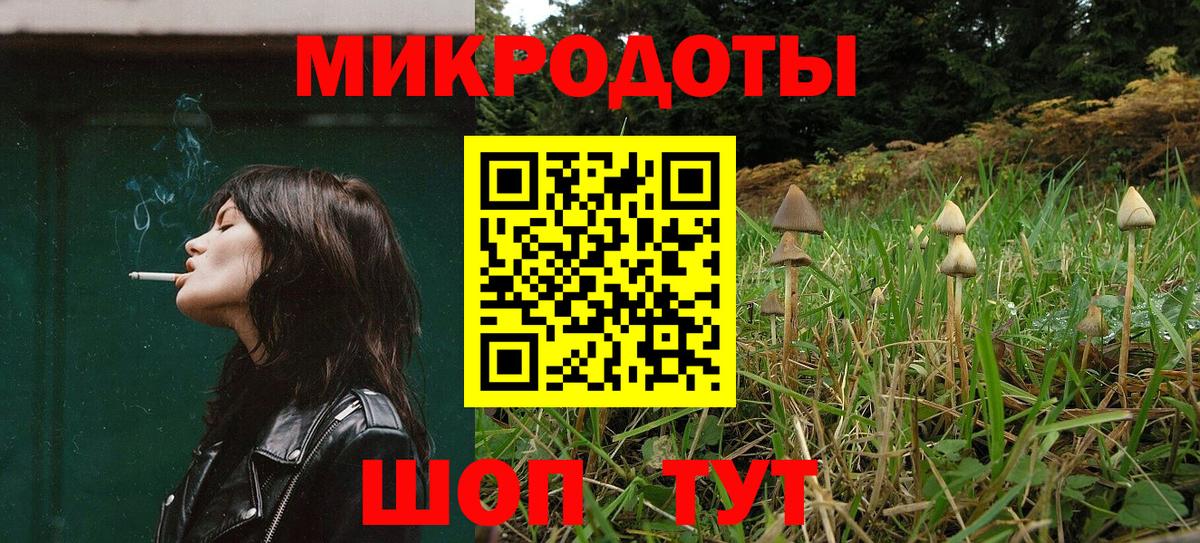 Псилоцибиновые грибы GOLDEN TEACHER  Галлюциногенные грибы Cubensis  Вход с VPN  Павлово 