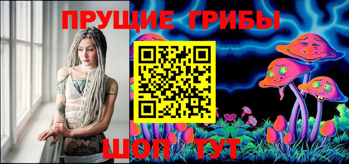 Галлюциногенные грибы мицелий  Павлово  наркота  Псилоцибиновые грибы GOLDEN TEACHER 